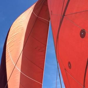 Meet your Posher, Dee dee